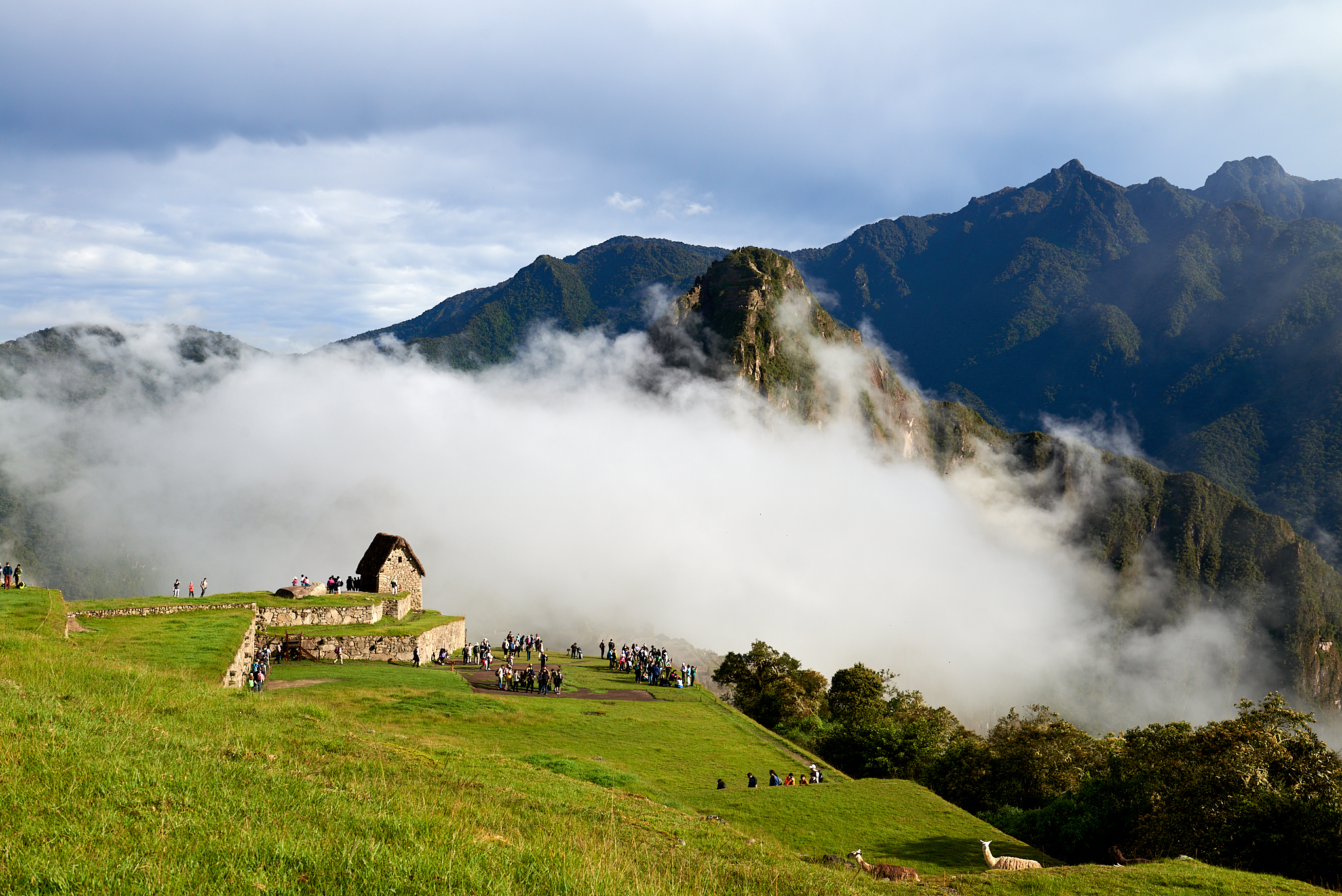 20200308 586 [페루] 마추픽추